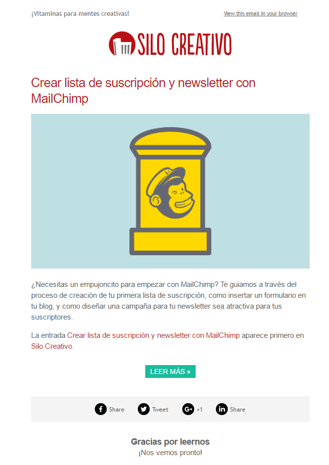 example-newsletter-mailchimp-wordpress