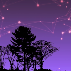 Cielo estrellado interactivo en CodePen